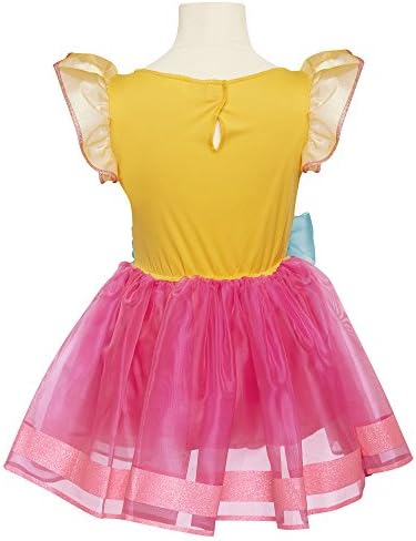 Fancy Nancy Signature Dress Fits Sizes 4-6 years old