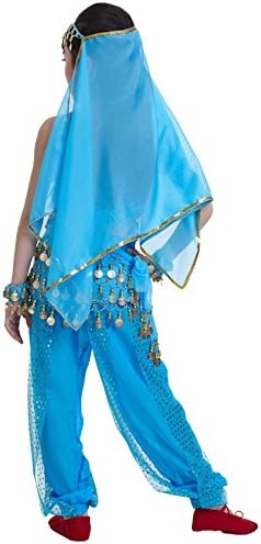 Costume For Princess Girl Indian Belly Dance costumes
