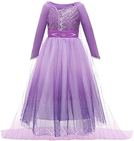 Princess Sofia Party Costume