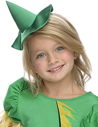 Magical 75th Anniversary Costume for the Scarecrow