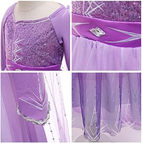 Princess Sofia Party Costume