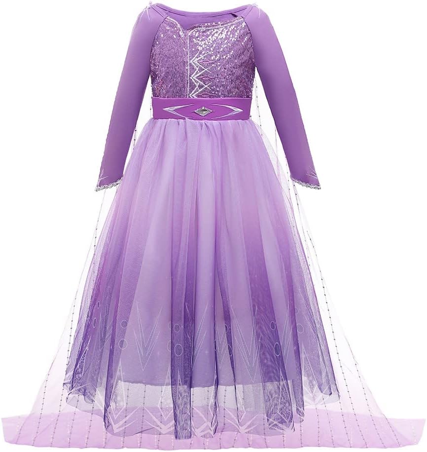 Princess Sofia Party Costume