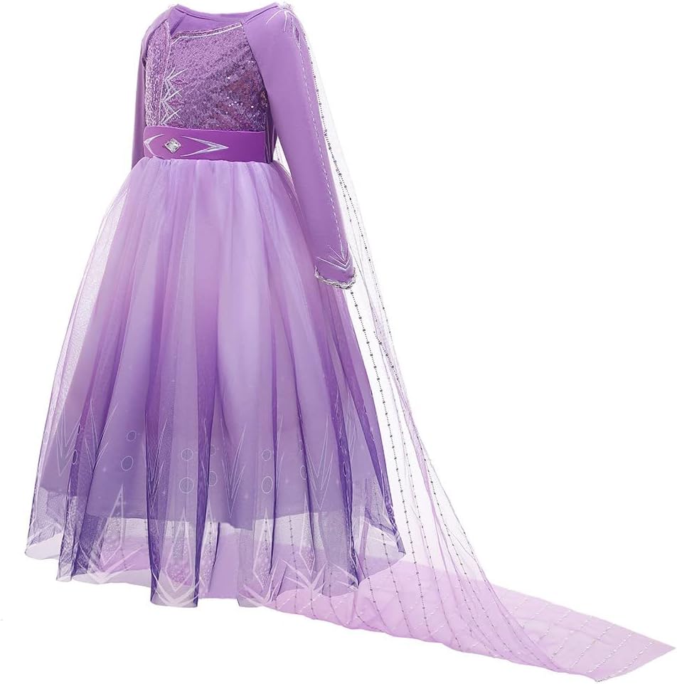 Princess Sofia Party Costume