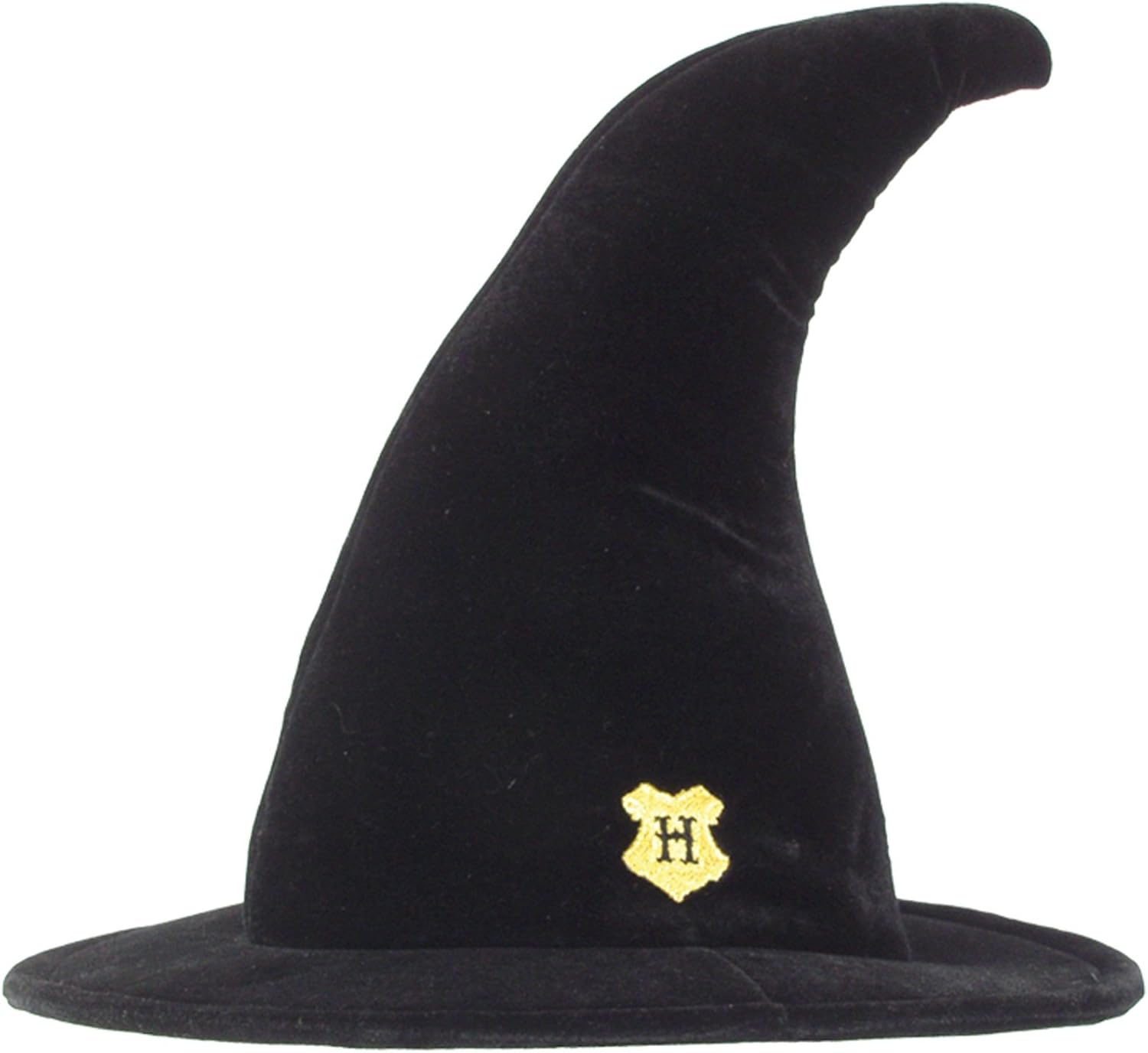 Magic Hogwarts Hat for Kids