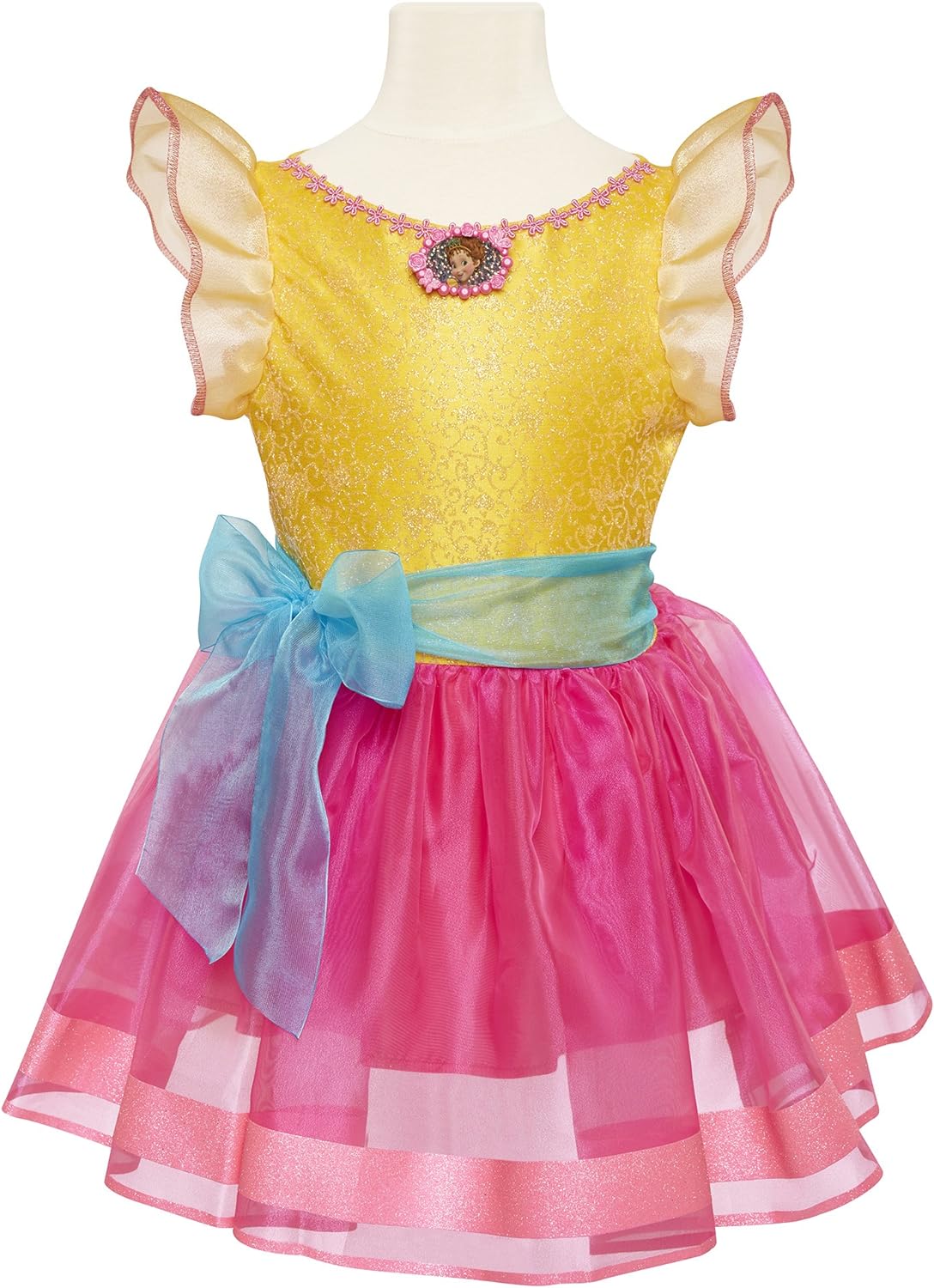 Fancy Nancy Signature Dress Fits Sizes 4-6 years old