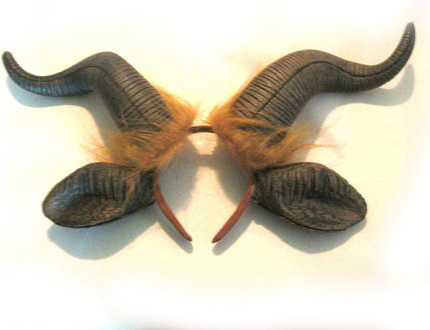 Realistic Hand Painted Headband for Boys